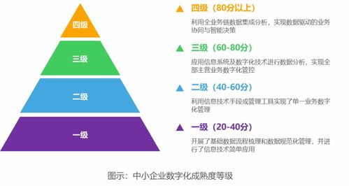 破繭成蝶 2022年中國中小企業數字化轉型之路——數字技術服務的關鍵賦能